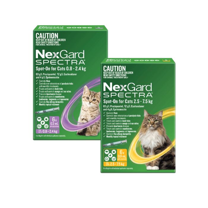 NexGard SPECTRA - Spot-On for Cats 6 pack - 0.8 - 2.4kg 