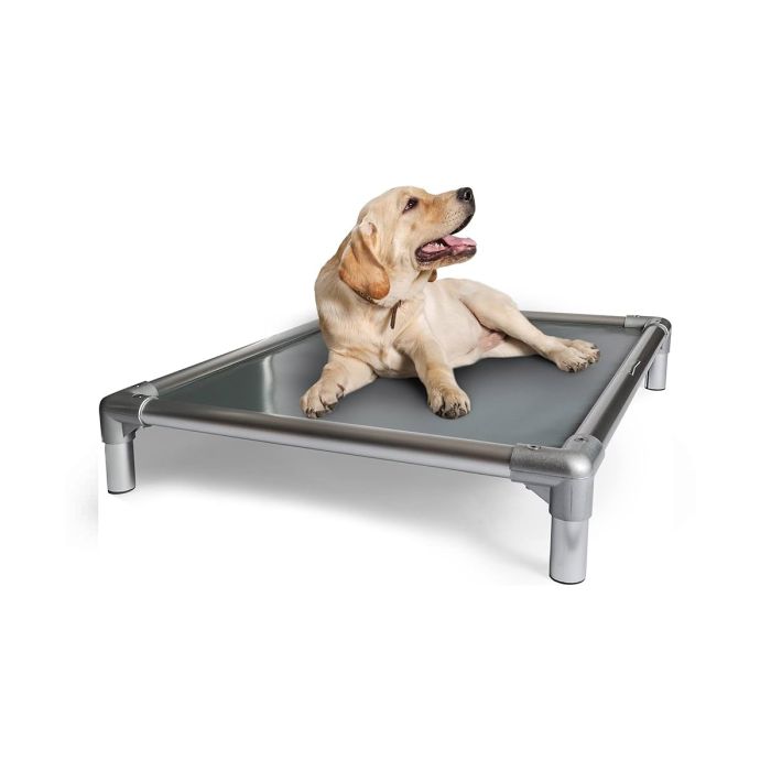 Chew Proof Dog Bed