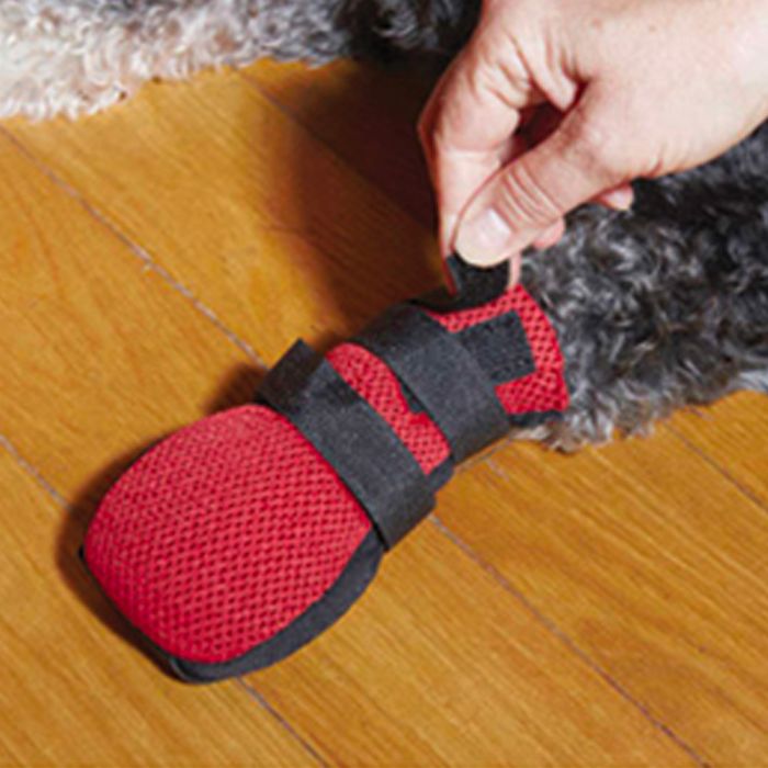 Dog paw wound boot best sale