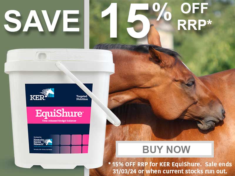 Horse supplies clearance direct